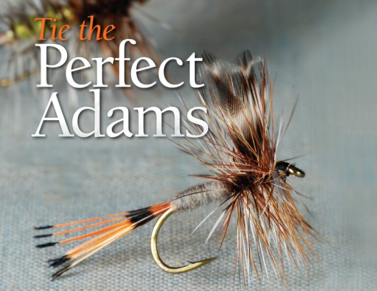 Master The Adams Dry Fly Recipe: A Step-By-Step Guide