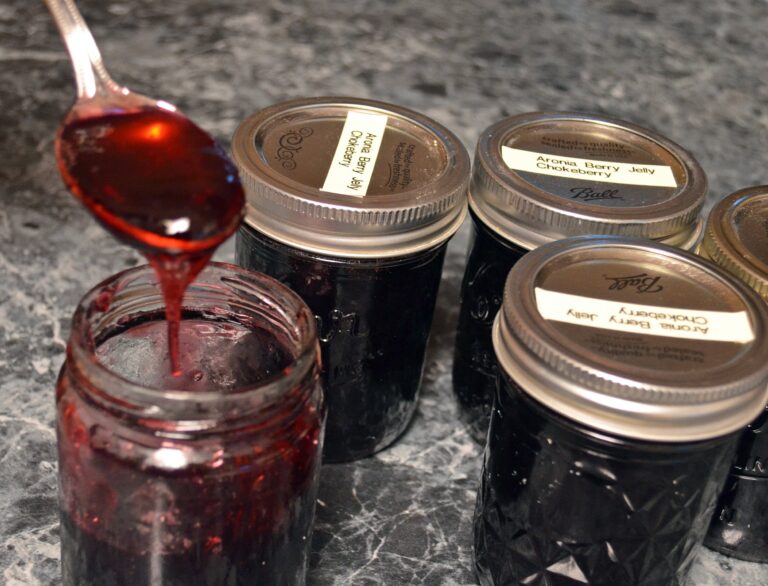 Delicious Aronia Berry Jelly Recipe For A Healthy Treat