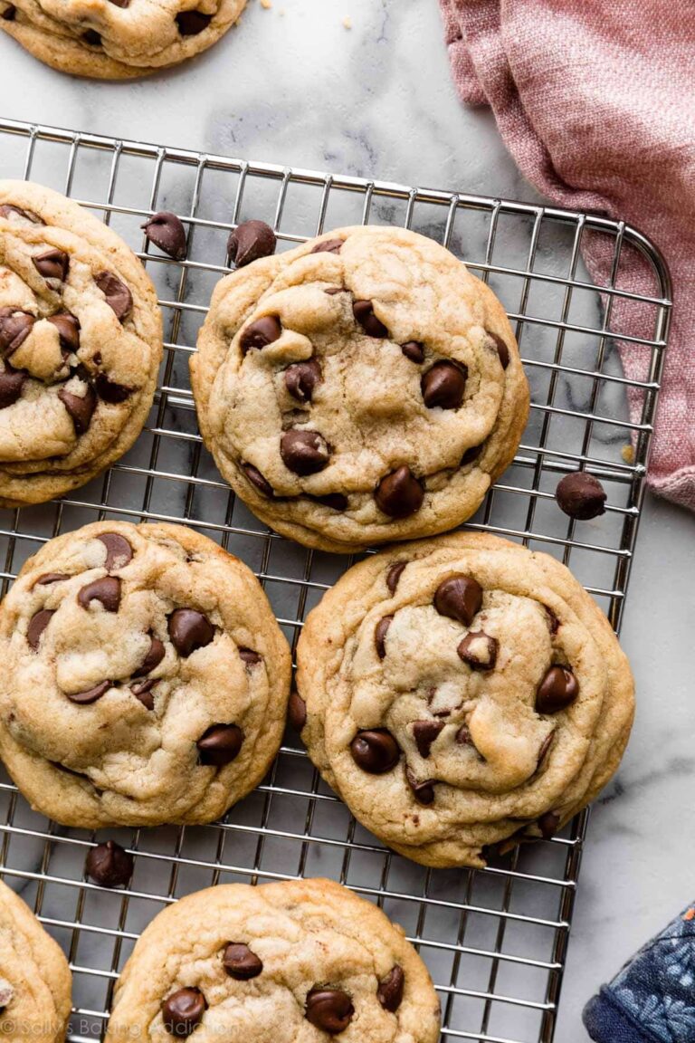 The Ultimate Bakers Chocolate Chip Cookie Recipe