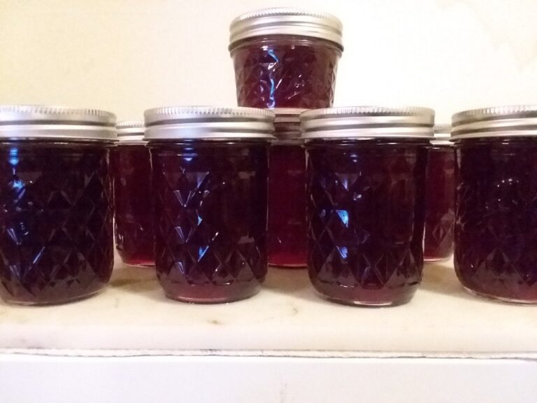 Delicious Beet Jelly Recipe: A Sweet And Tangy Delight