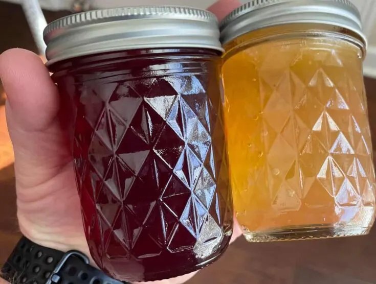 The Perfect Muscadine Jelly Recipe: A Delicious And Easy Guide