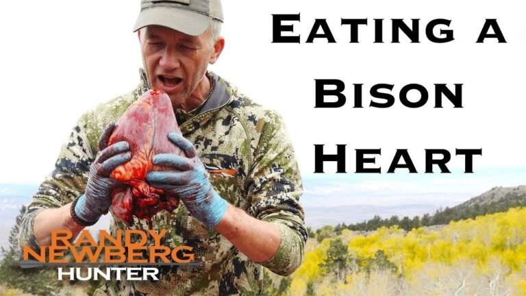Delicious Bison Heart Recipe: A Savory Delight For Culinary Enthusiasts