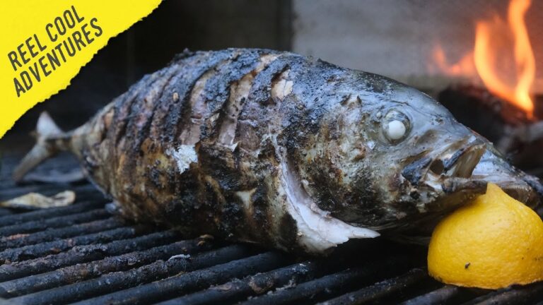 Delicious Blue Runner Fish Recipe: A Savory Delight