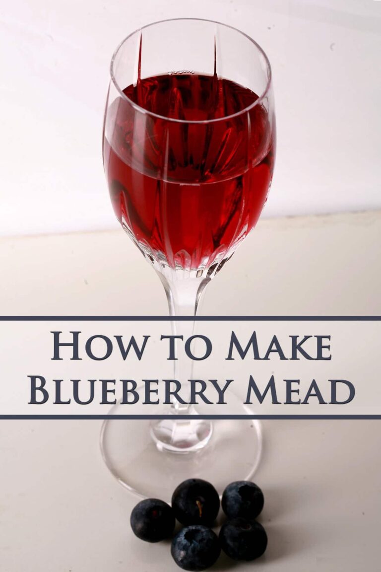 Delicious Blueberry Mead Recipe For 1 Gallon: Step-By-Step Guide