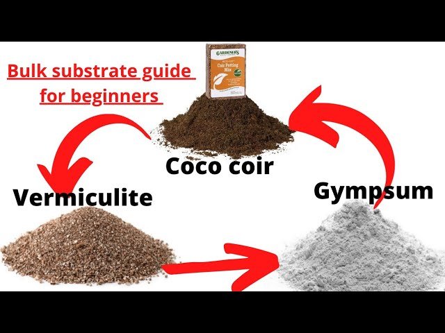 Ultimate Bulk Substrate Recipe: Boost Your Mushroom Growth