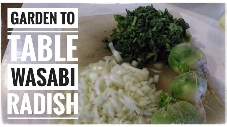 Delicious Wasabi Radish Recipe: A Tasty Twist For Your Table