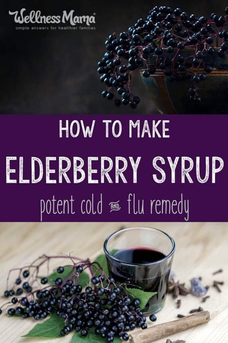 Nourishing Wellness Mama Elderberry Recipe: A Natural Immune-Boosting Elixir