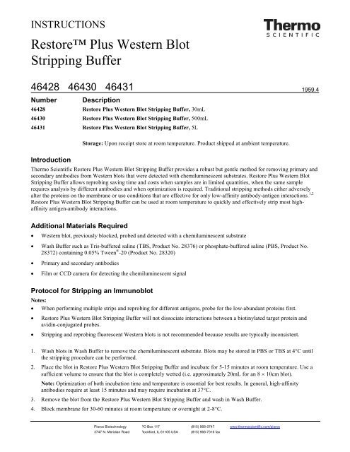 Effective Western Blot Stripping Buffer Recipe – Step-By-Step Guide