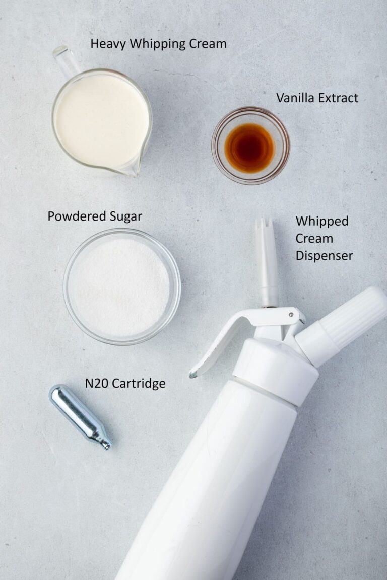 Delicious Whipped Cream Canister Recipe For Perfect Desserts