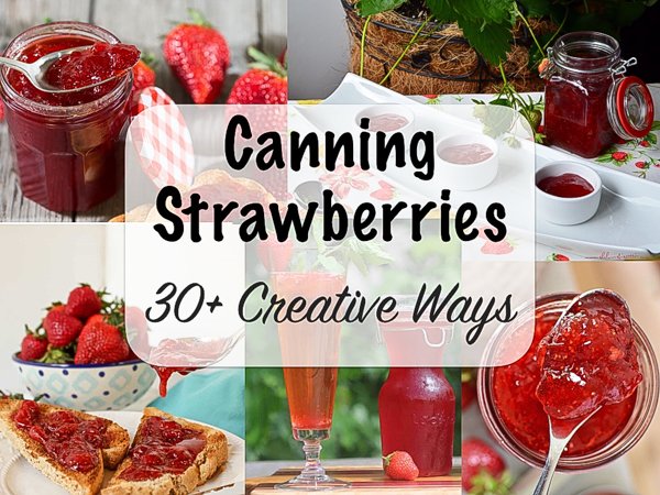 Tasty Canning Recipes For Strawberries: Preserve Deliciousness