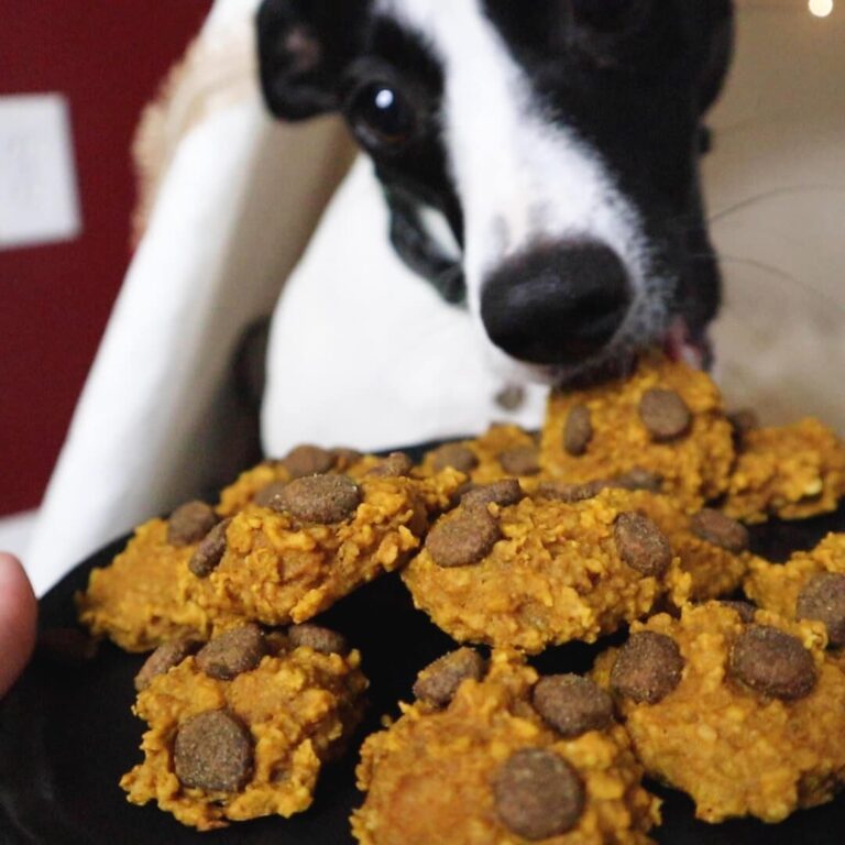 Delicious Cbd Dog Treats Recipe For Happy Pups