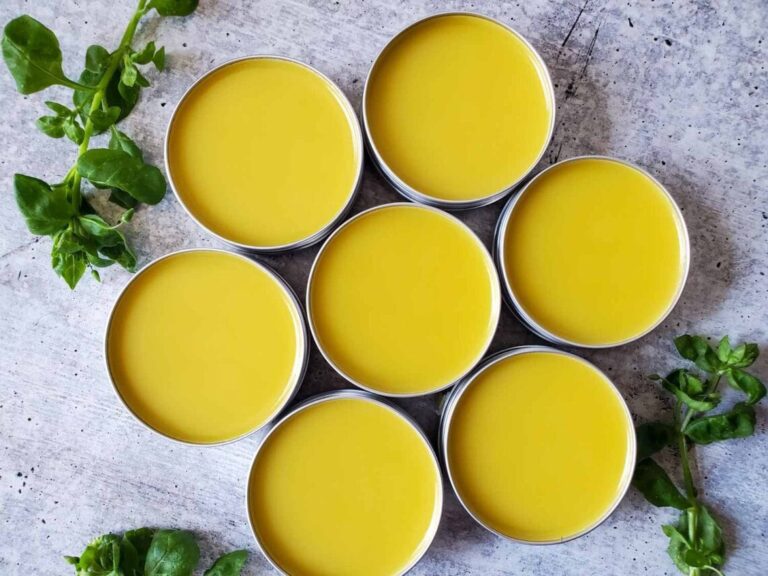 Chickweed Salve Recipe: Step by Step Guide