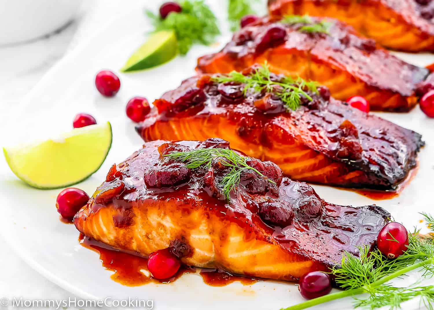 Cranberry Salmon Recipe