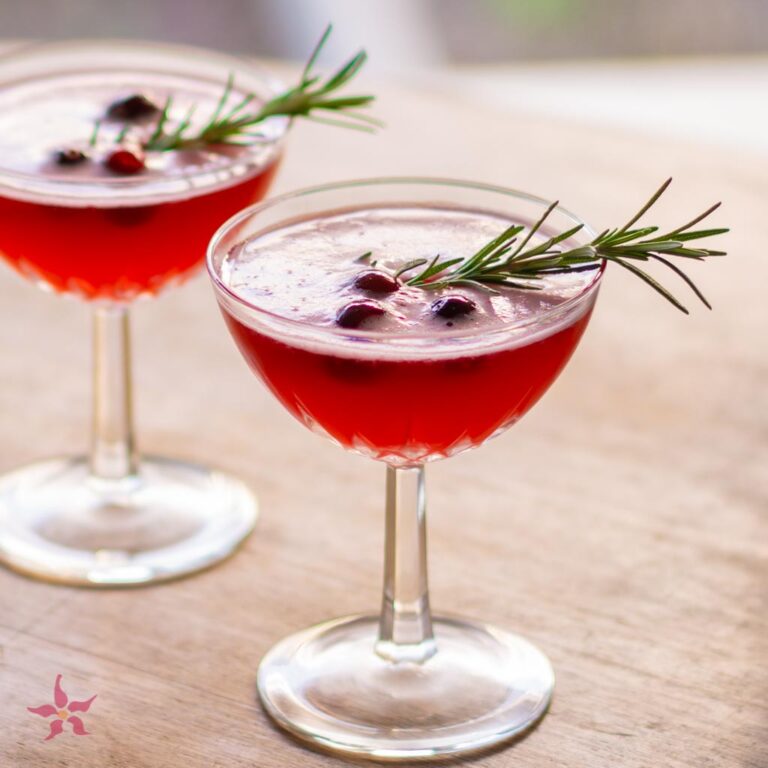 Cranberry Shrub Recipe: Zesty Delight in Every Sip!